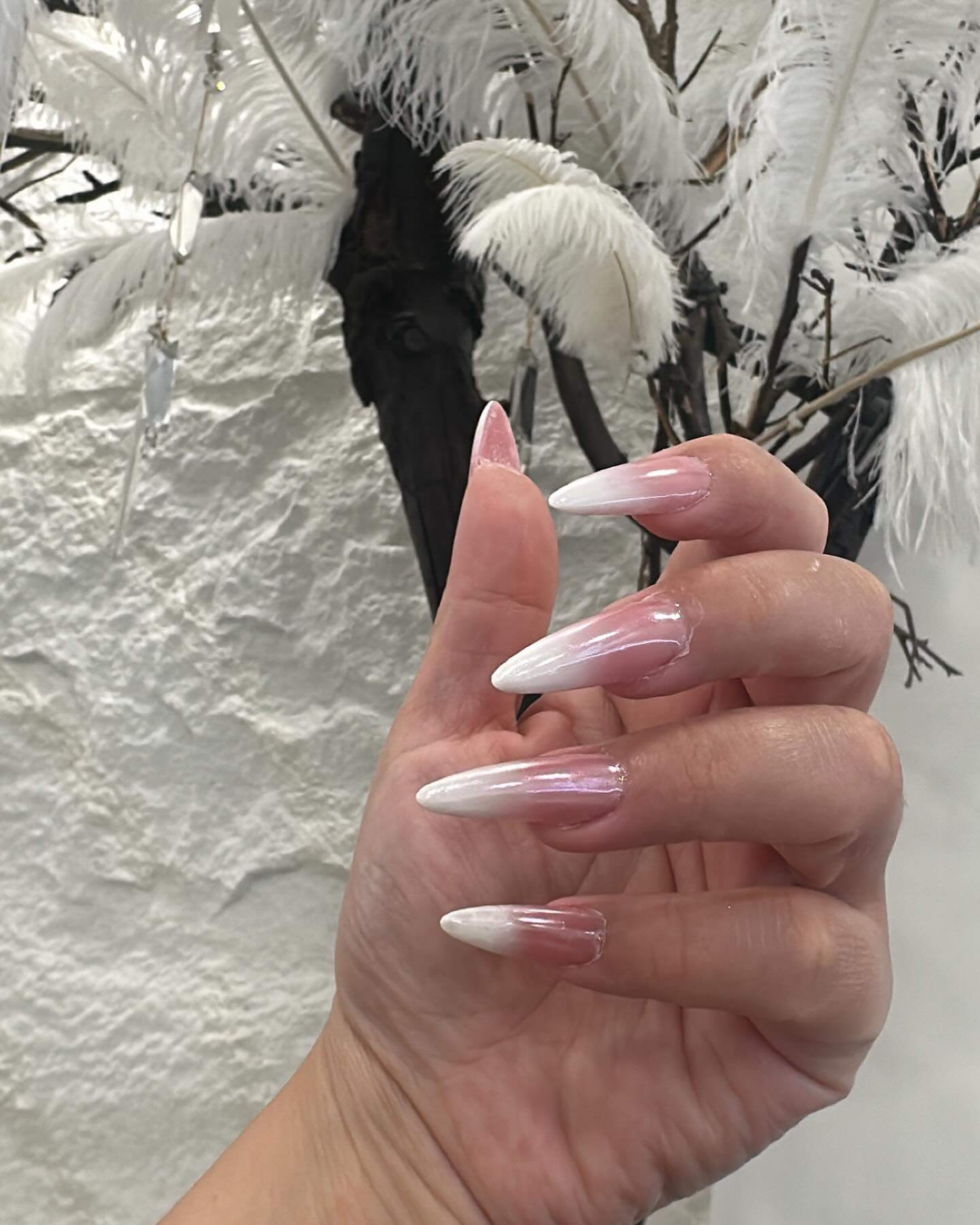 MTS DK Beauty Concept - Image 3