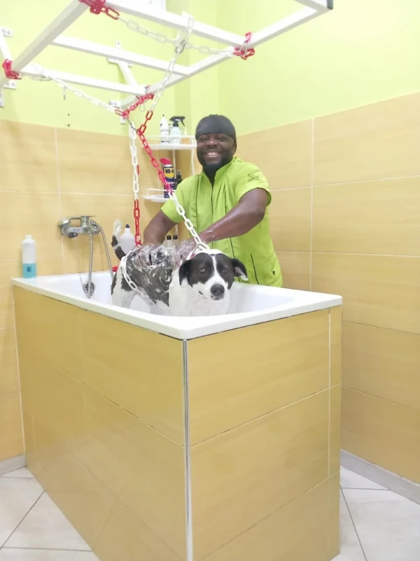 The pet Grooming house by Rainbow Mark