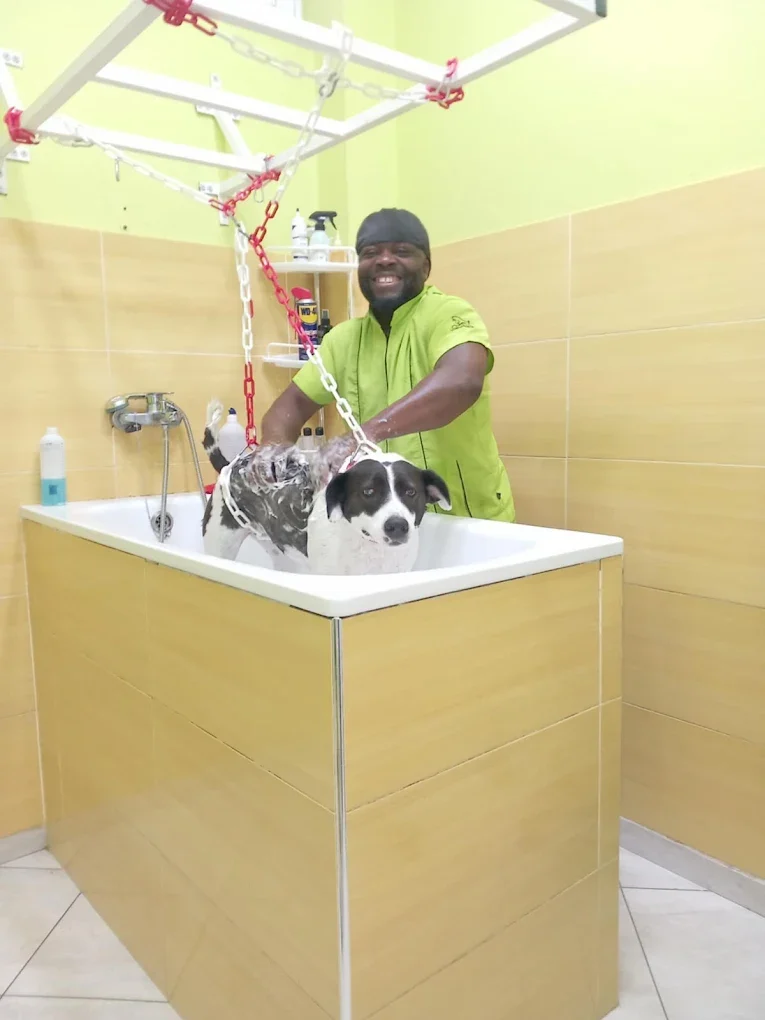 The pet Grooming house by Rainbow Mark - Image 5