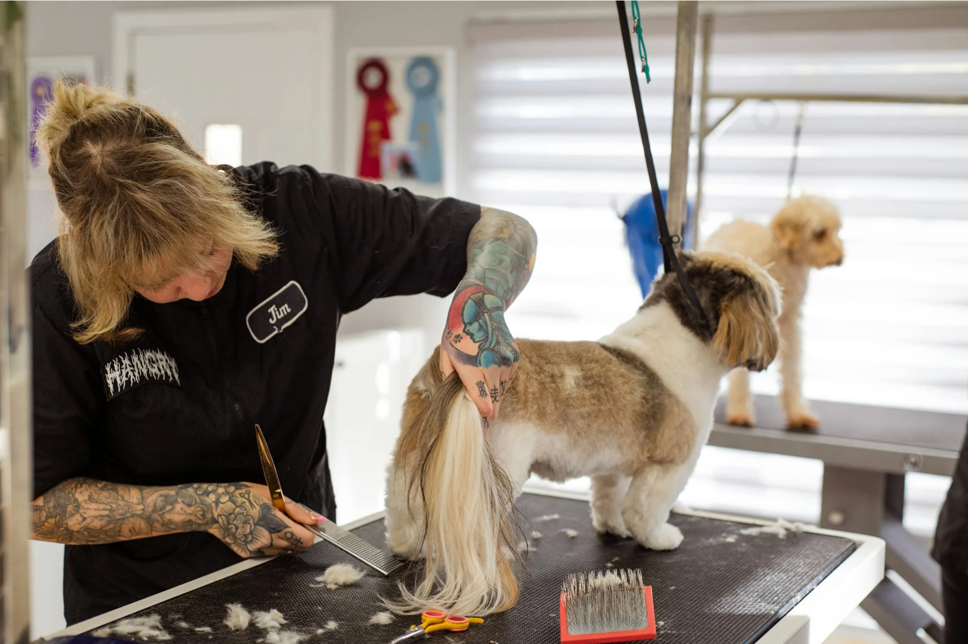 Pet Grooming by RANDEVU - Image 6