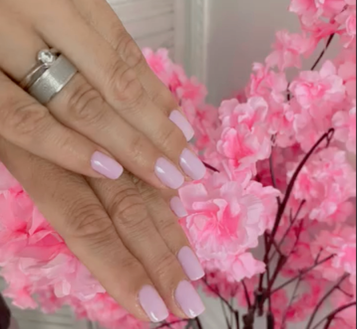 WOW The Beauty Project Thiseio - Image 8