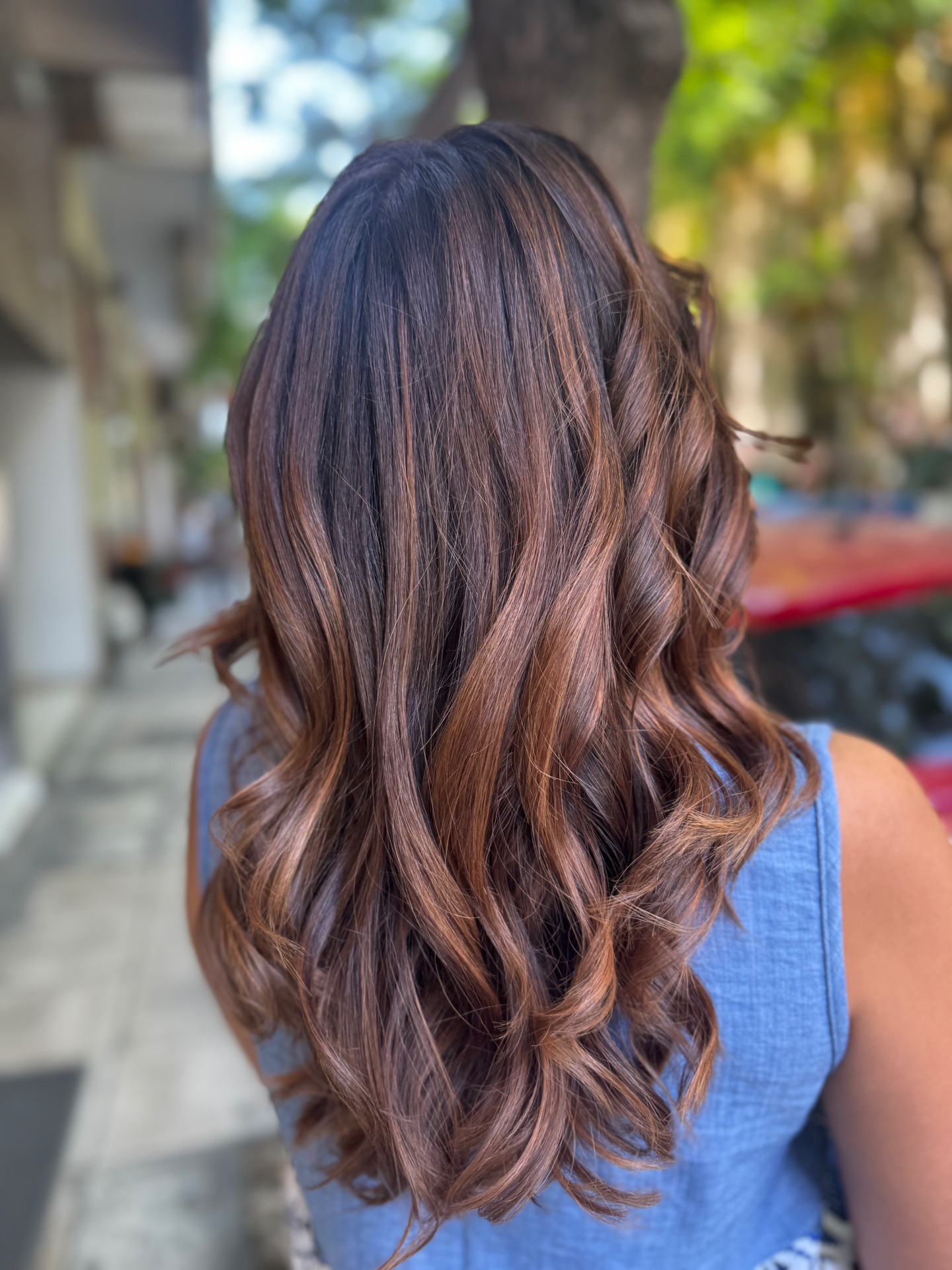 Style coiffure V. Alexandri - Image 21