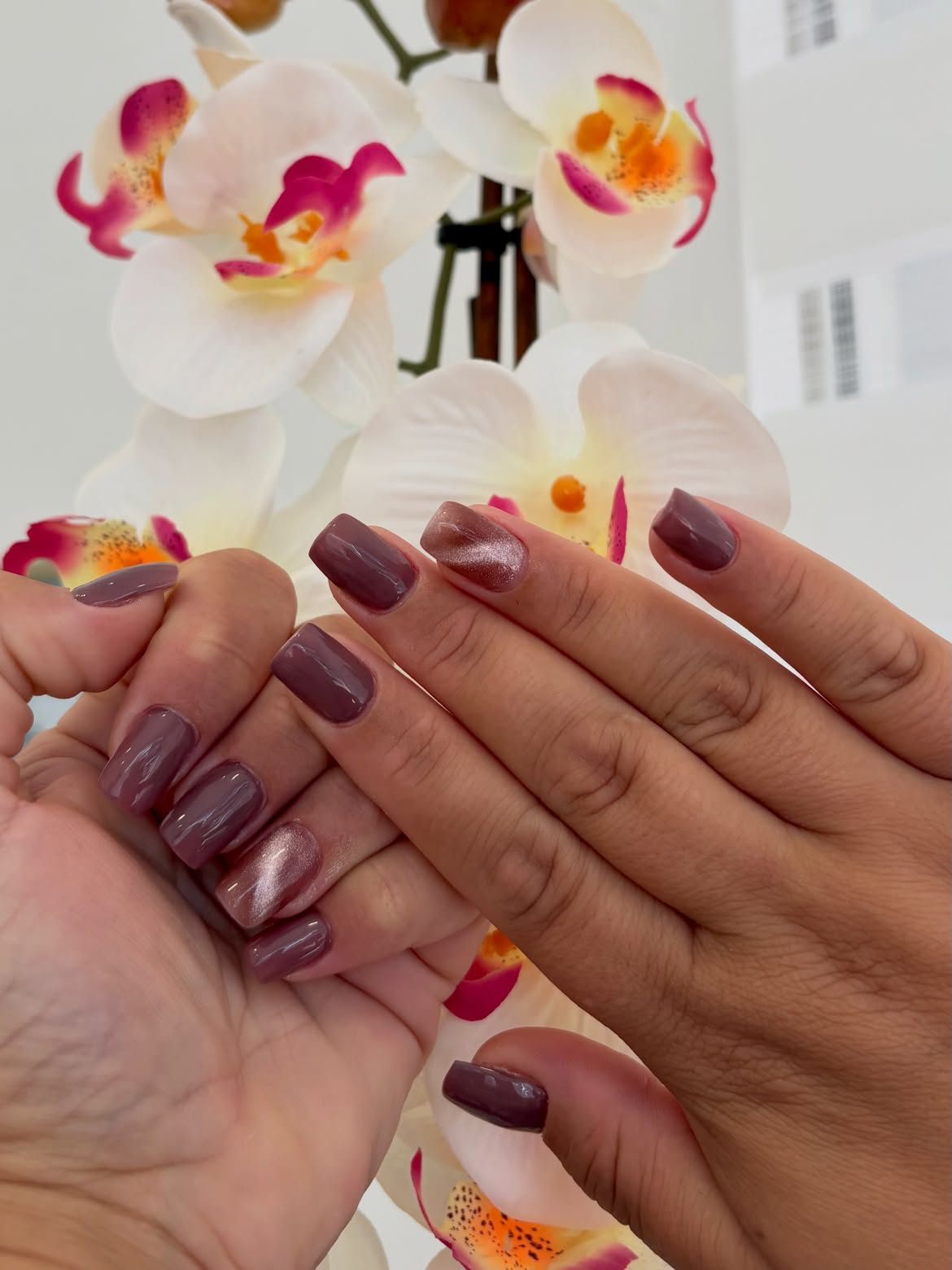 Eva's Nails - Image 4