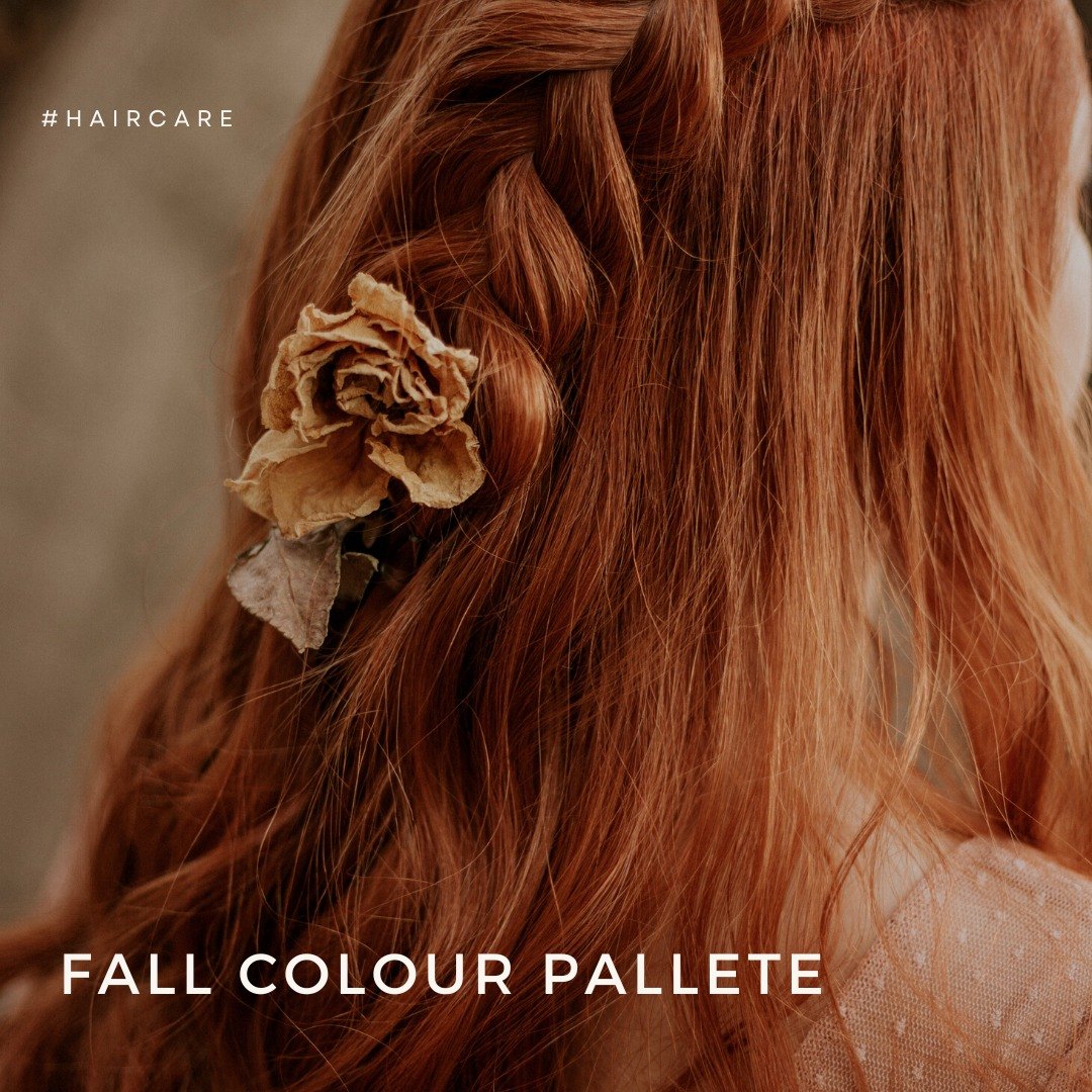 Bella Rosa  - Image 1